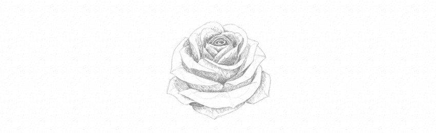 How to Draw a Rose With Pencil Tutorial shading rose