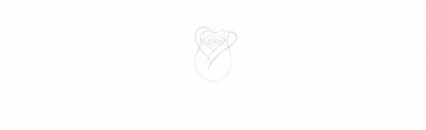 40 How to Draw a Rose Easy Rose Drawing Tutorials  HARUNMUDAK