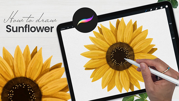 How To Draw Sunflower Drawing in Procreate Tutorial