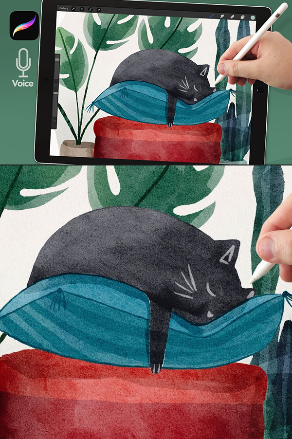 How to Draw Sleeping Cat Watercolor Illustration in Procreate Tutorial