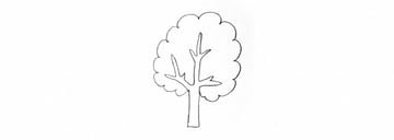 how to draw trees tutorial too simple