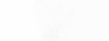 How to Draw a Tree Easy Tutorial oak tree branches drawing