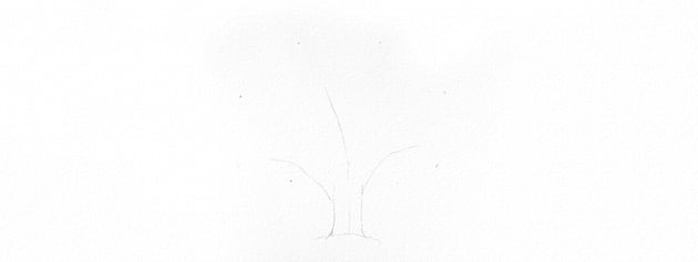 How to Draw a Tree Easy Tutorial oak tree branches drawing