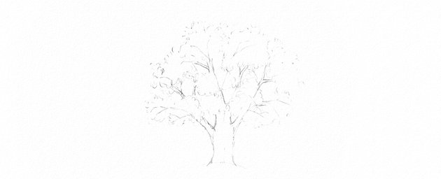 How to Draw Trees Tutorial oak tree leaves drawing