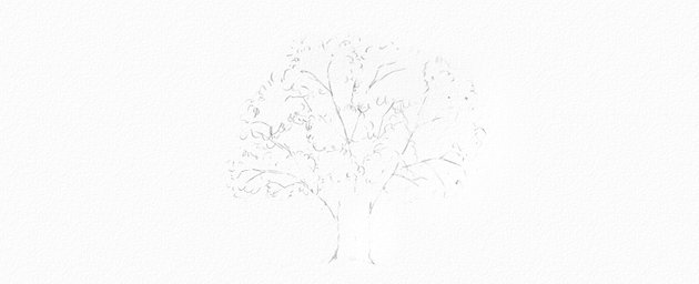 How to Draw a Tree Easy Tutorial oak tree crown drawing