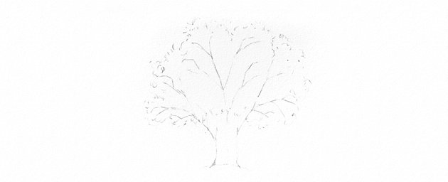 How to Draw a Tree Easy Tutorial oak tree crown and leaves drawing