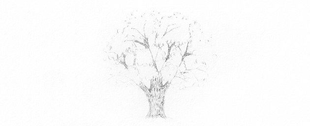 How to Draw Trees Tutorial realistic oak tree bark drawing
