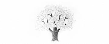 How to Draw Trees Tutorial realistic oak tree leaves drawing