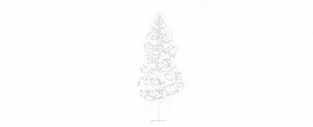 How to Draw Trees Tutorial evergreen pine tree drawing