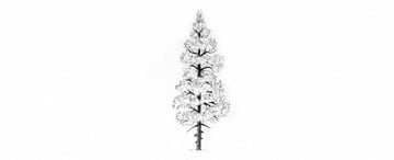 How to Draw Trees Tutorial pine tree drawing details 