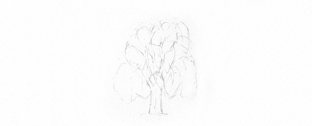 How to Draw a Tree Easy Tutorial plan weeping willow tree leaves drawing