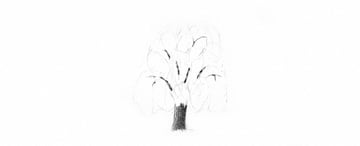 How to Draw a Tree Easy Tutorial shade weeping willow tree trunk drawing
