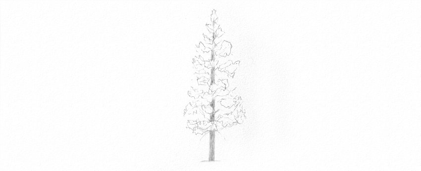 How to Draw Trees Tutorial shade pine tree trunk drawing