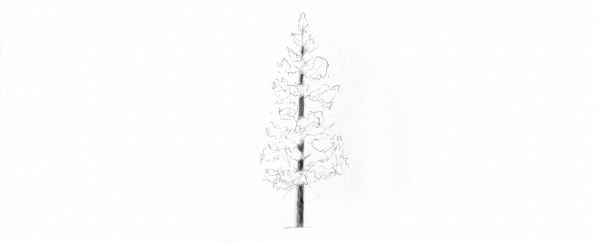 How to Draw Trees Tutorial shade pine tree trunk drawing with pencils