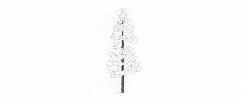 How to Draw Trees Tutorial pine tree needles drawing