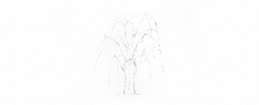 How to Draw a Tree Easy Tutorial weeping willow tree branches drawing