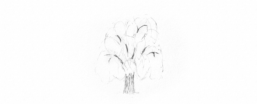How to Draw a Tree Easy Tutorial shading weeping willow tree trunk drawing