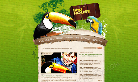 bird-house