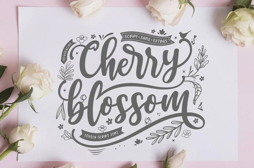 Cherry Blossom Sans Script Font