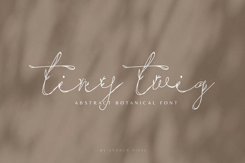 Tiny Twig Botanical Display Font