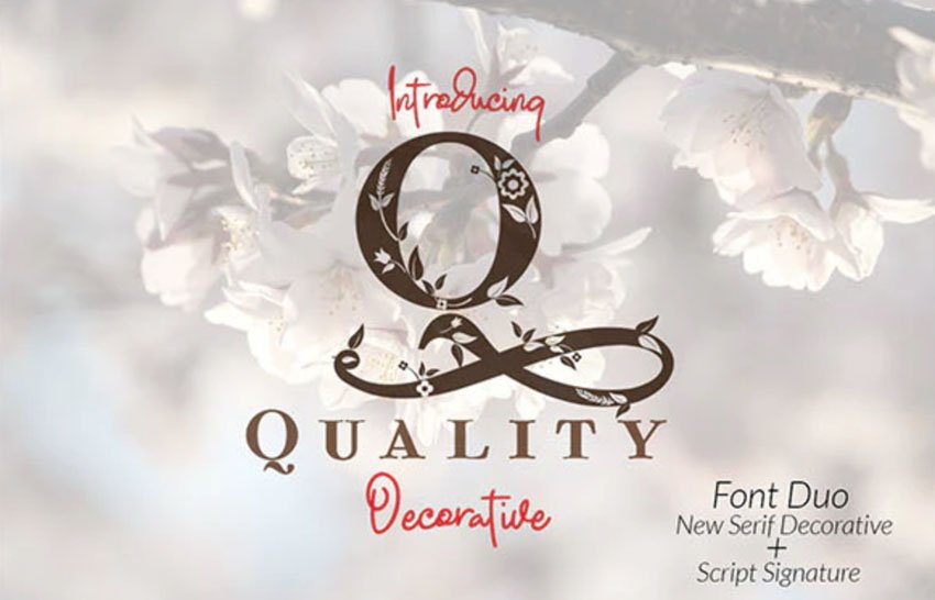 Quality Decorative Font Duo