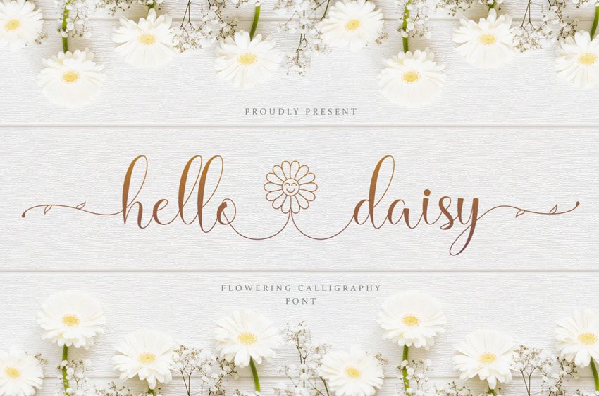 Hello Daisy Calligraphy Flower Font