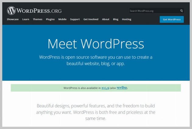 WordPress Homepage