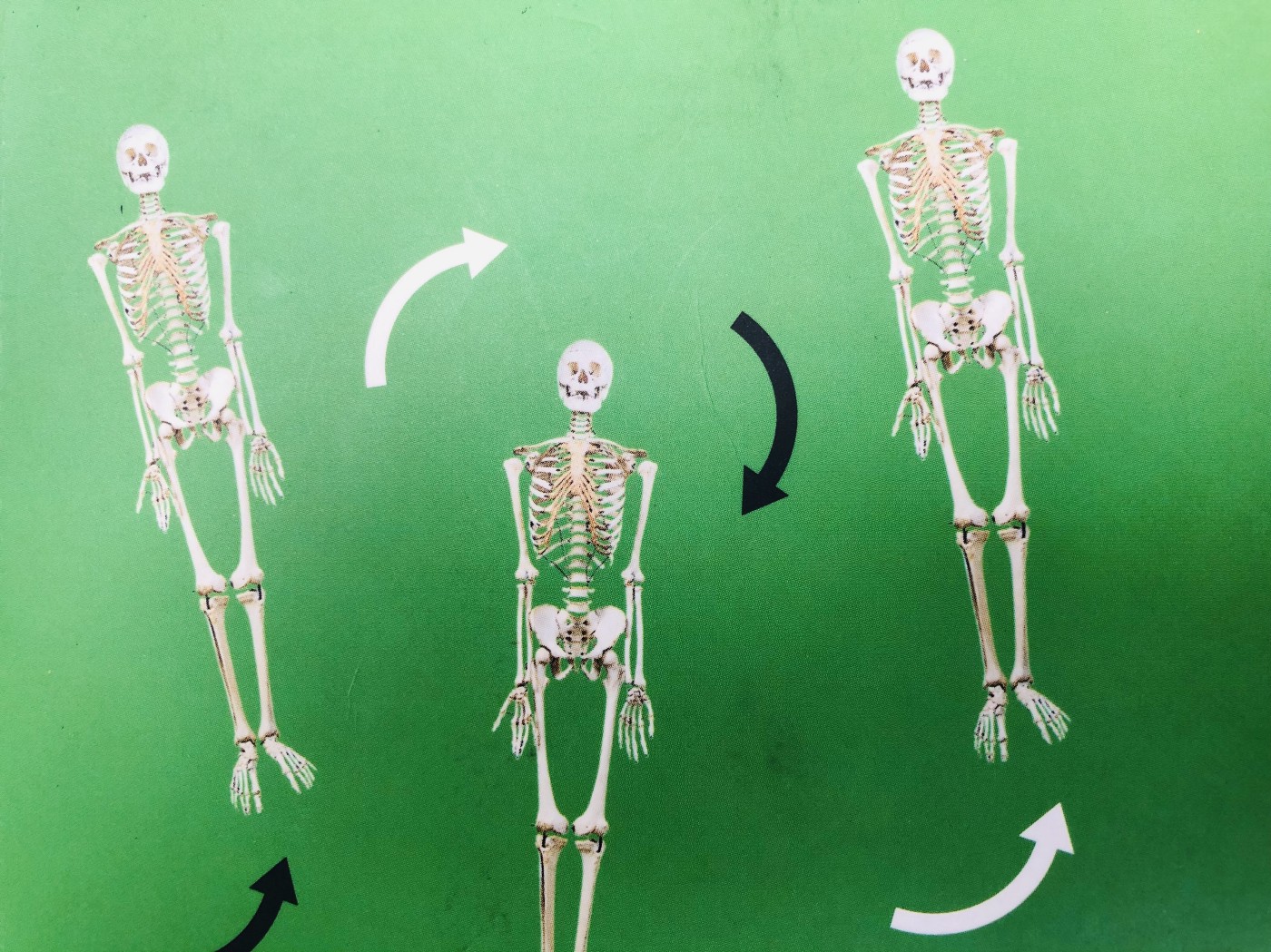 The image shows the book cover of Murakami’s book Dance Dance Dance, which features three white skeletons on a green background with arrows around them that indicate movement.