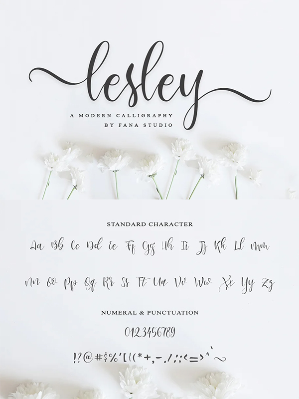 Lesley Script Font