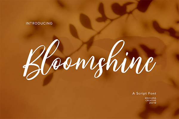 Bloomshine Script Font