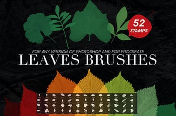 52 Leaves Photoshop Stamp Brushes