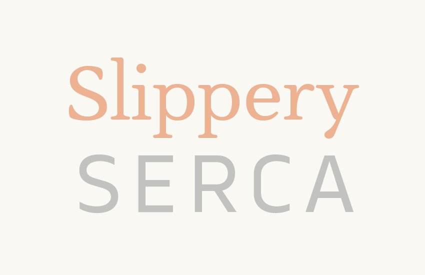 Font Family Combination: Slippery and Serca