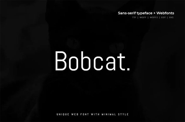 Bobcat Modern Typeface