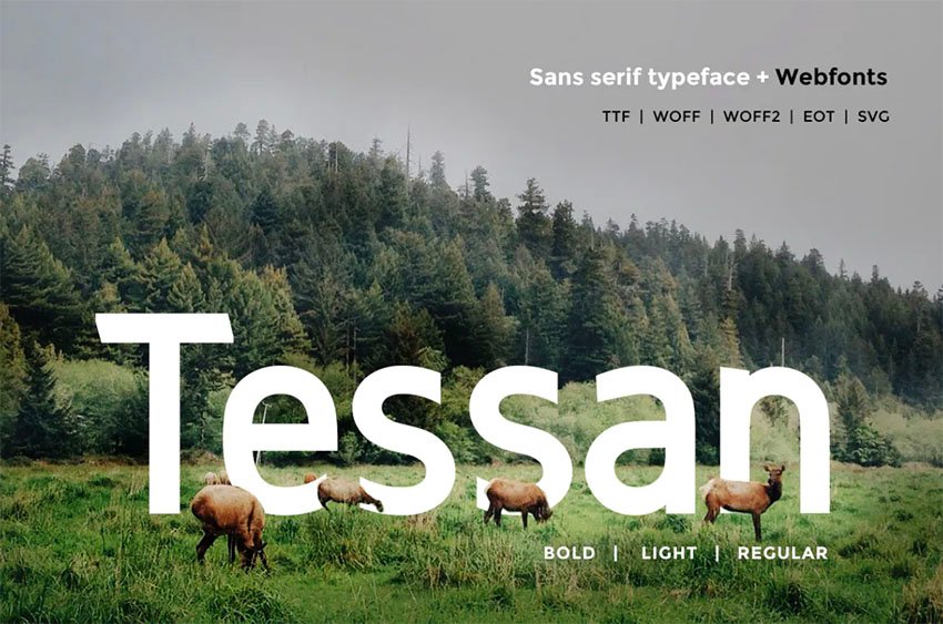 Tessan Sans Modern Typeface