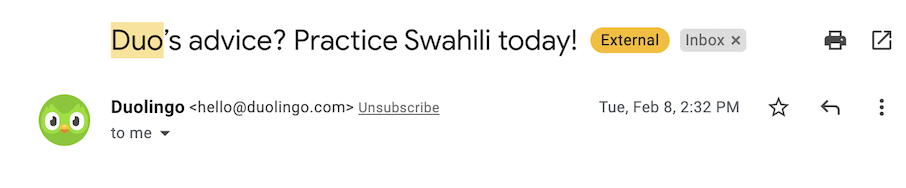 An alternative subject line for the daily reminder email saying “Duo’s advice? Practice Swahili today!”