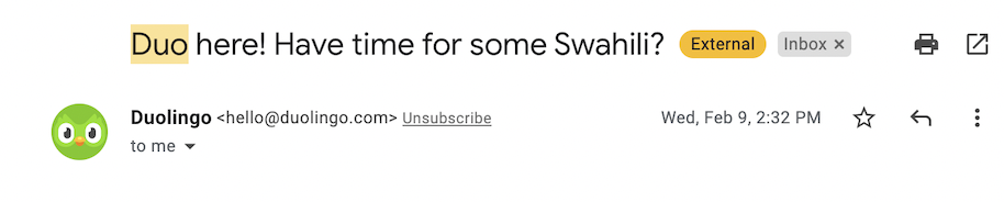 An alternative subject line for the daily reminder email saying “Duo here! Have time for some Swahili?”