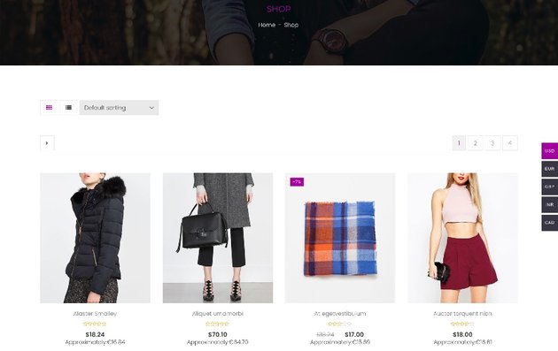 CURCY - WooCommerce Multi Currency - Currency Switcher