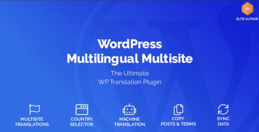 WordPress Multilingual Multisite