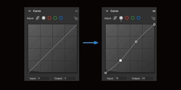 curves graph