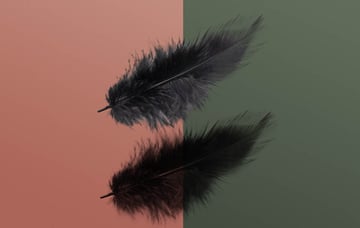 feather example 