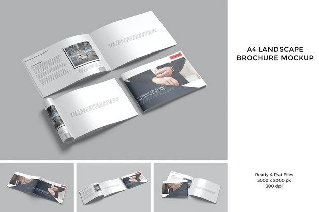 landscape brochure mockup