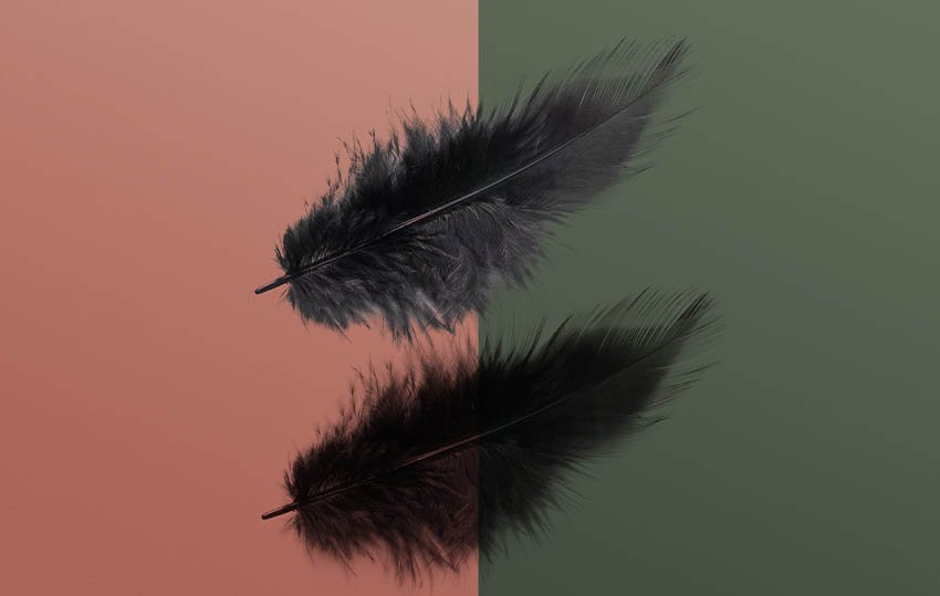 feather example 