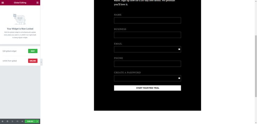 A screenshot from inside Elementor Pro plugin shows a contact form on top of a black background. It is saved as a Global Widget in the left panel sidebar.