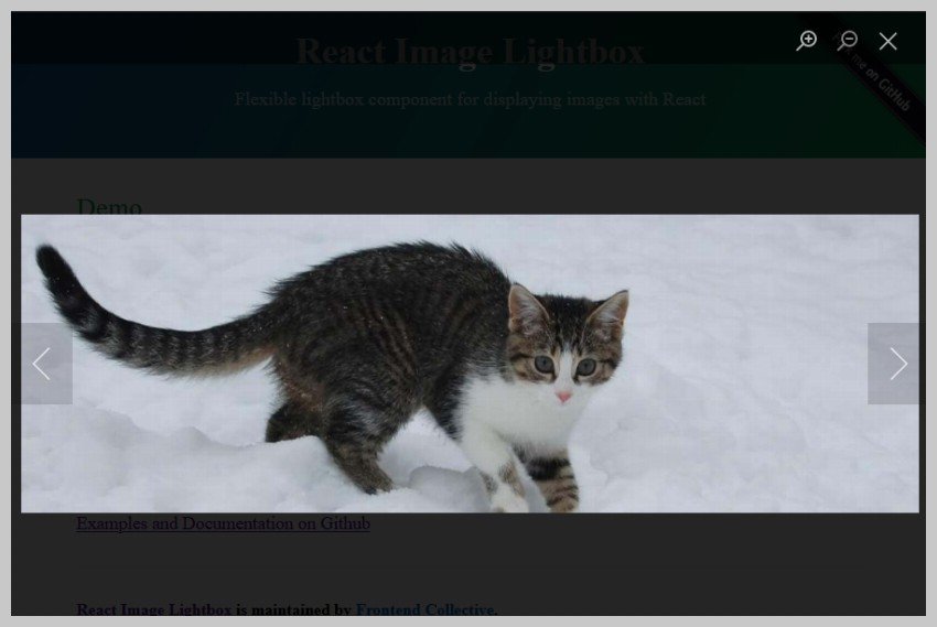 React Image Lightbox