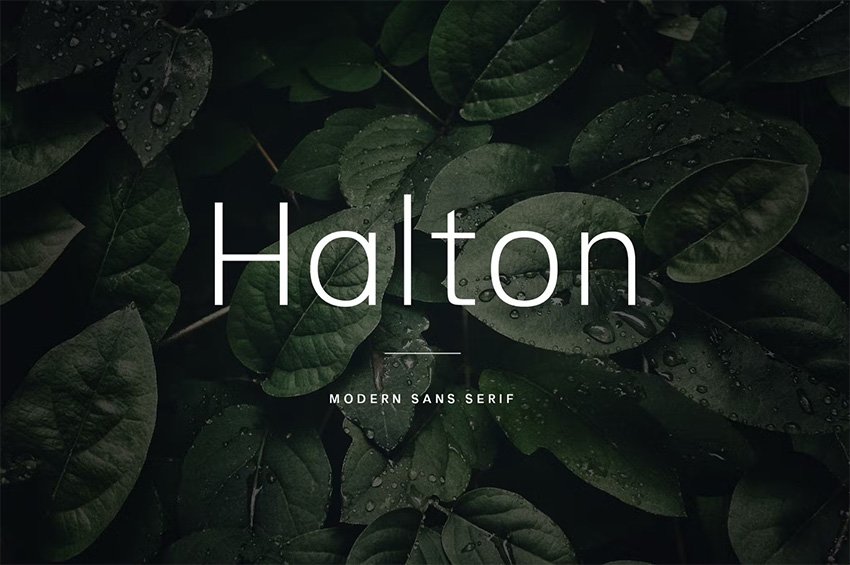 Halton modern font similar to Lato on Envato elements