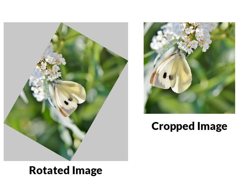 Crop and Rotate Images Using PHP