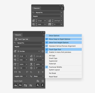 character panel settings