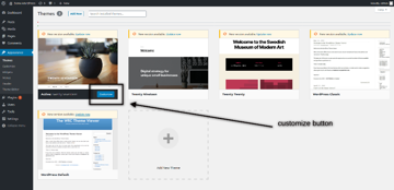 Customize Theme Button