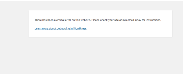 Critical Error Message in WordPress