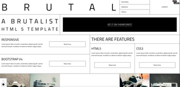 brutalism in web design